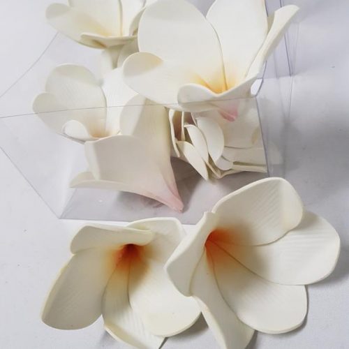 Artificial Frangipani Heads Cream-Yellow