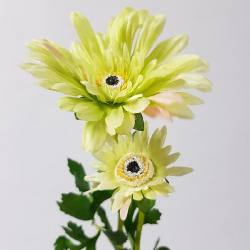 Artificial Gerbera Spray Green 50cm
