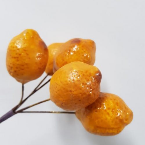 Artificial Lemon Bundle