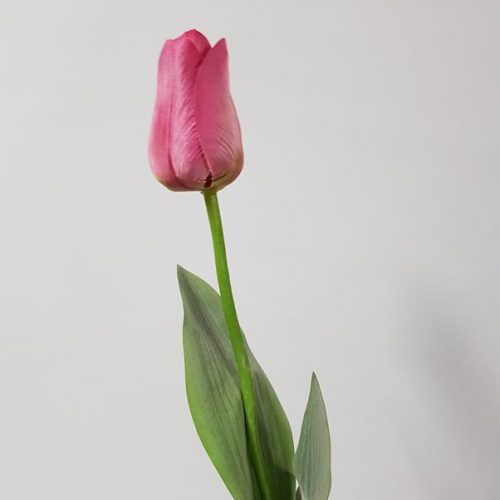 Artificial Tulip Pink 66cm