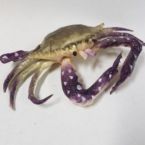 Blue Artificial Crab Medium 23cm