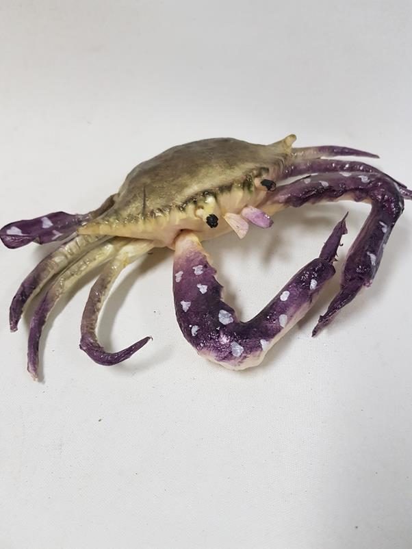 Blue Artificial Crab Medium 23cm