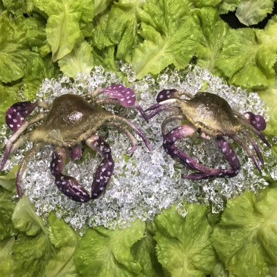 Blue Artificial Crab Medium 23cm - Image 3