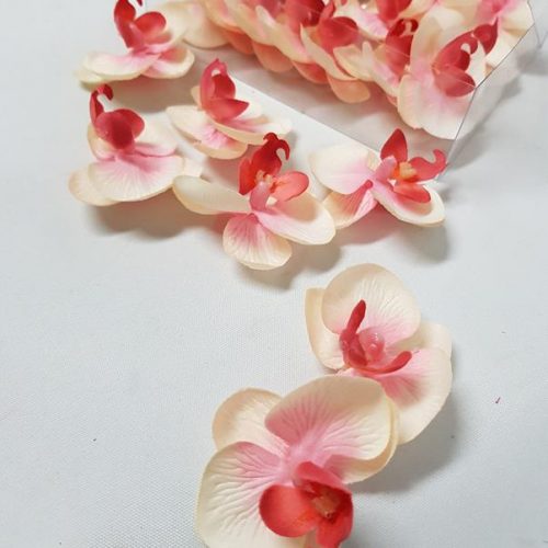 Butterfly Orchid Heads Cream Pink