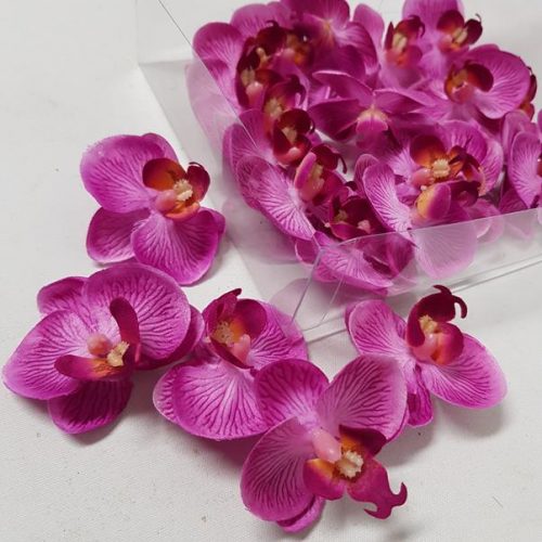 Butterfly Orchid Heads Purple