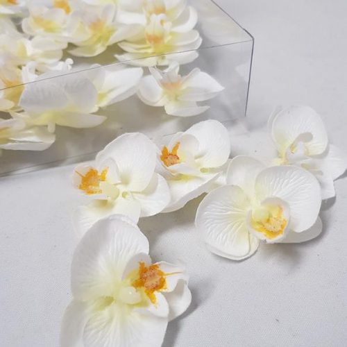 Butterfly Orchid Heads White