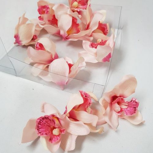 Cymbidium Orchid Heads Pink