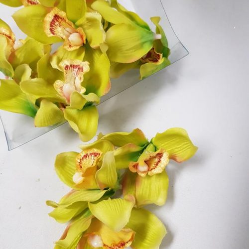 Cymbidium Orchid Heads Green