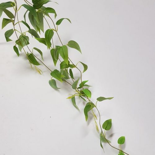 Delicate Trailing Vine 80cm