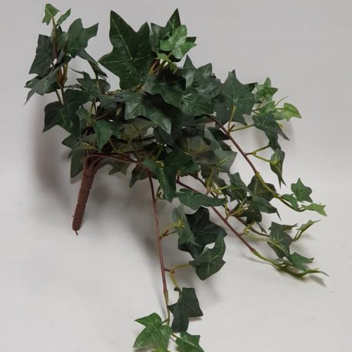 Helix Ivy Hanging Bush 41cm