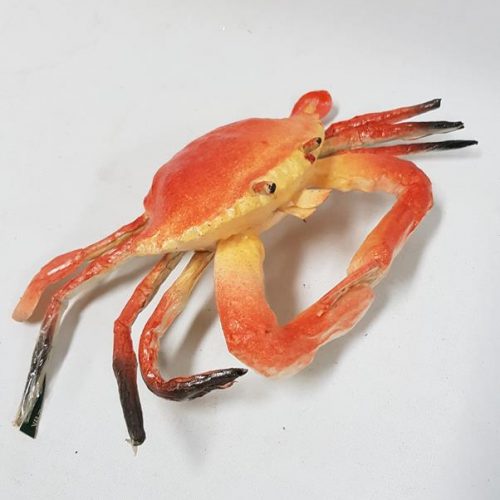Orange Artificial Crab Medium 22cm