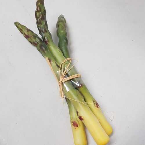 Artificial Asparagus Bunch