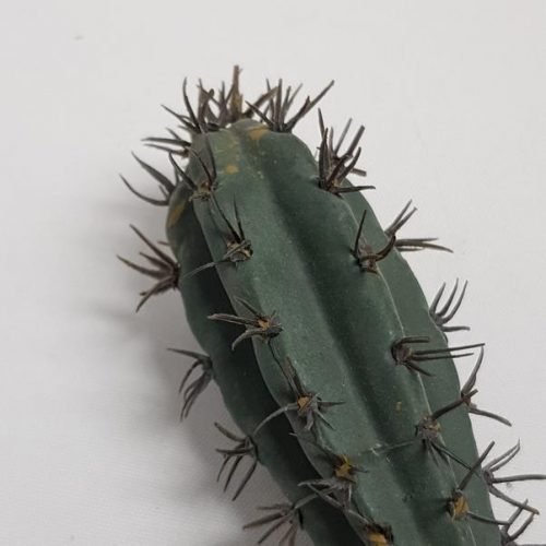 Artificial Saguaro Cactus Grey 13cm