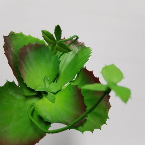 Artificial Succulent Flapjack Green 16cm