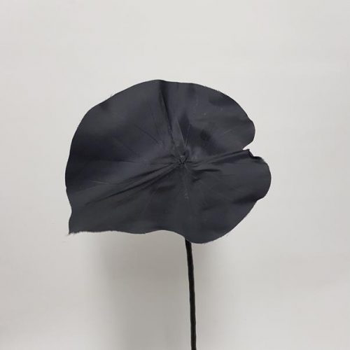 Black Lotus Leaf 49cm