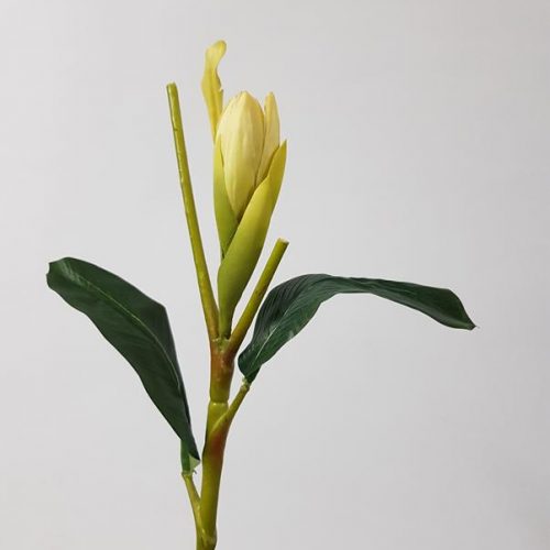 Artificial Heliconia Bud Cream 72cm