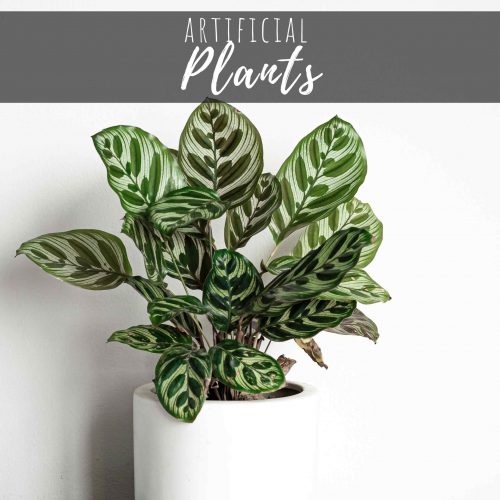 Artificial Plants