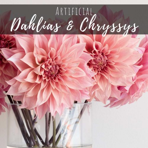 Dahlias and chrysanthemums