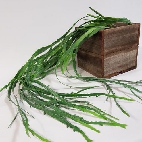 Artificial Mistletoe Cactus Hanging 78cm