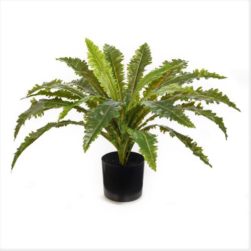 Artificial Fern Asplenium Plant 42cm