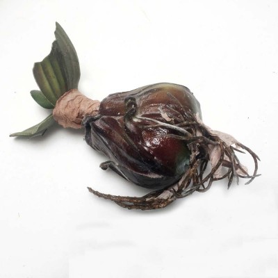 Artificial Onion Bulb