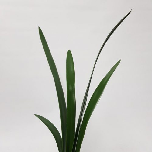 Artificial Orchid Leaf 72cm