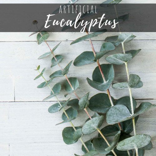 Artificial Eucalyptus