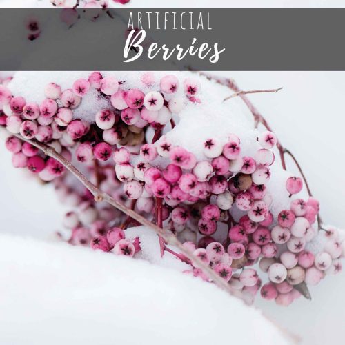 Berries