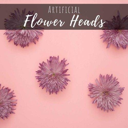 Flower Heads