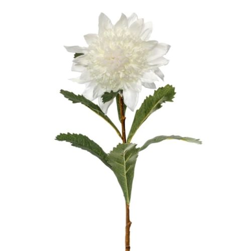 Artificial Waratah White 80cm