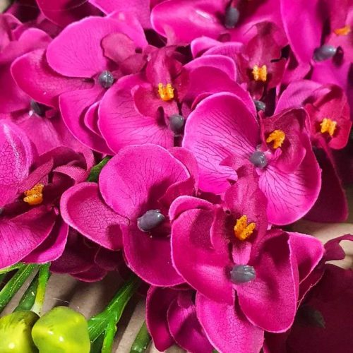 Artificial Moon Orchid Magenta 85cm