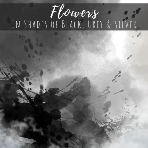 Flowers in Shades of Black Grey Silver