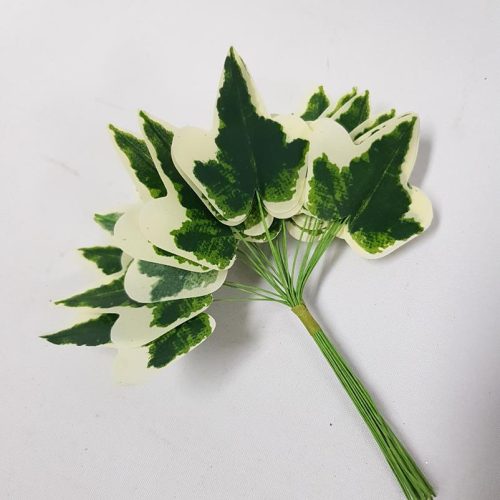 Mini  Leaf Ivy Pack x 24