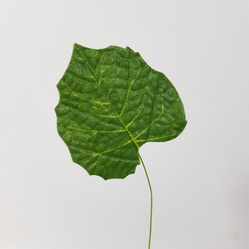 Mini Leaf Mint Pack x 24 - Image 2