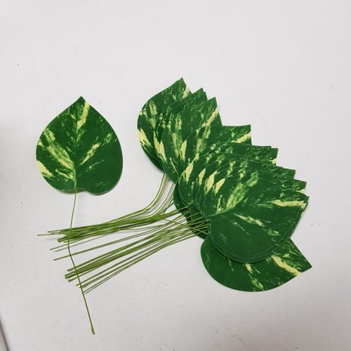 Mini Leaf Pothos Pack x 24