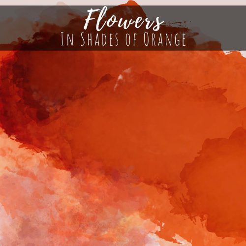 Flowers in Shades of Orange