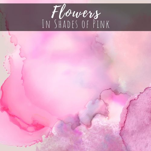 Flowers in Shades of Pink
