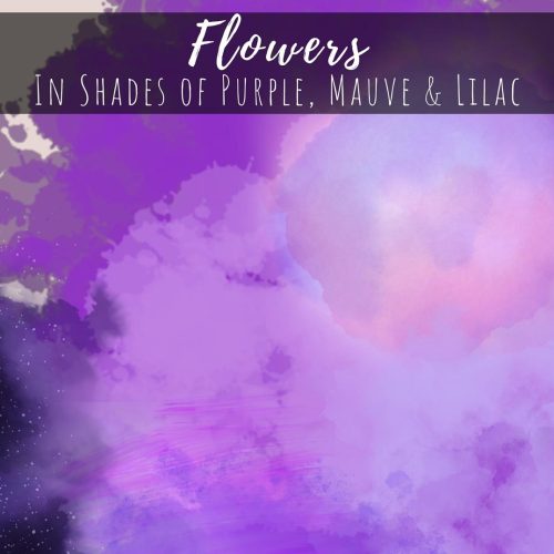 Flowers in Shades of Purple Mauve Lilac