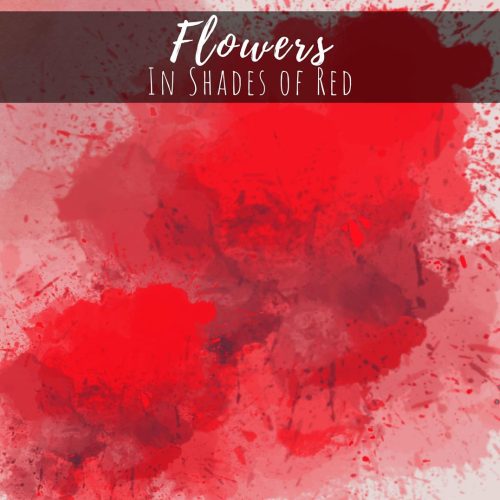 Flowers in Shades of Red