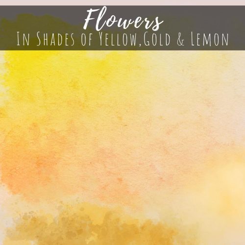 Flowers in Shades of Yellow