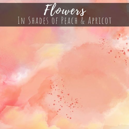 Flower Shades in Peach and Apricot