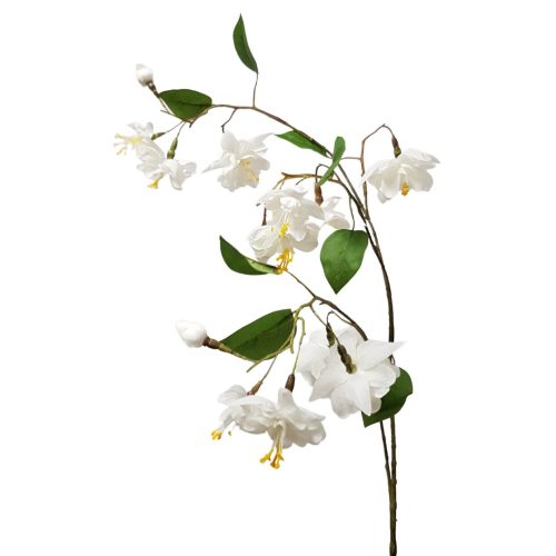 Fuchsia Branch White
