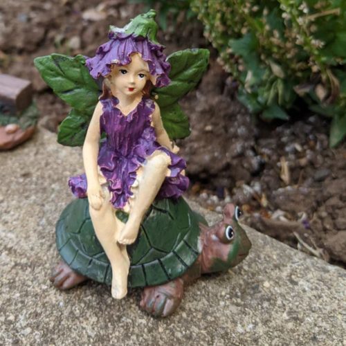 Fairy and Turtle Friends