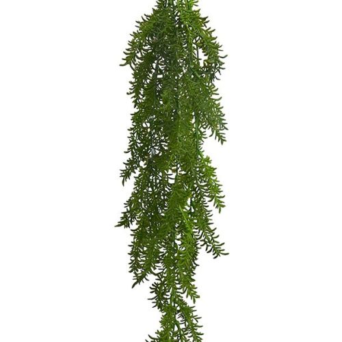 Water Thyme hanging Bush 70cm