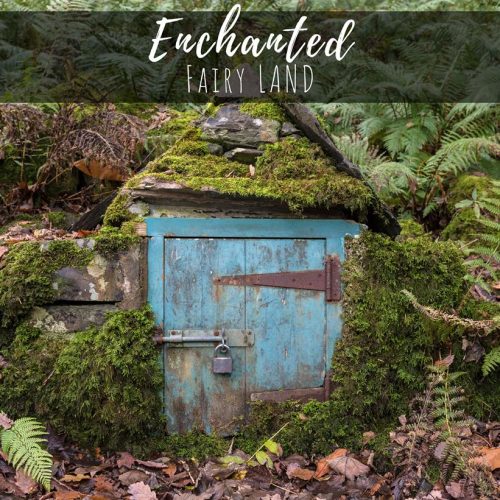 Magical Fairy Garden