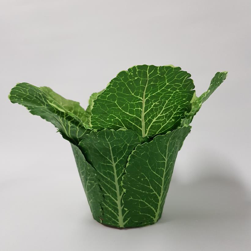 Enchanted Cabbage Leaf Pot - Image 3