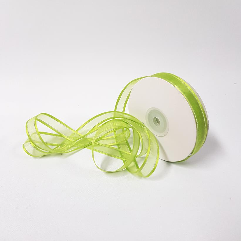 Organza Satin Edge Ribbon silver Thread 15mm Kiwi