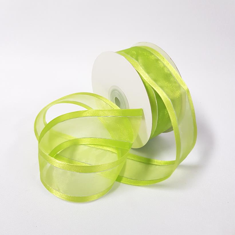 Organza Satin Edge Ribbon silver Thread 38mm Kiwi