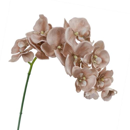 Artificial Phalaenopsis Orchid Dusty Peach 87cm