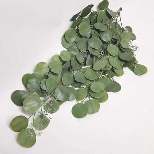 Silver Dollar Eucalyptus Hanging Bush 72cm